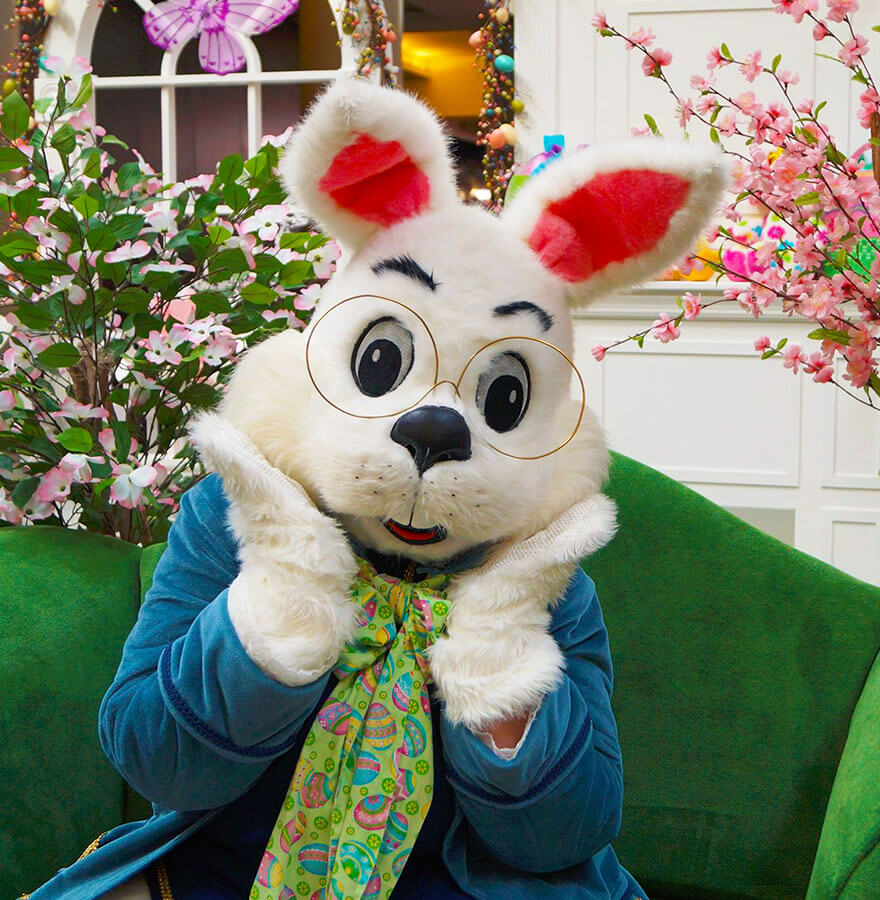 /upload/Easter-Bunny-Set_WG.jpg